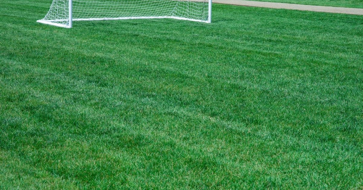 サッカートルコリーグの魅力とは?熱狂のスタジアムと注目のスター選手たち